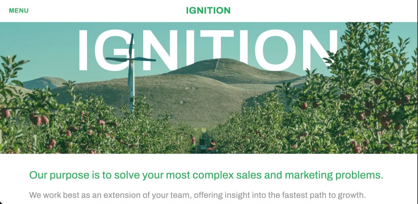 Ignition Consulting brand website
