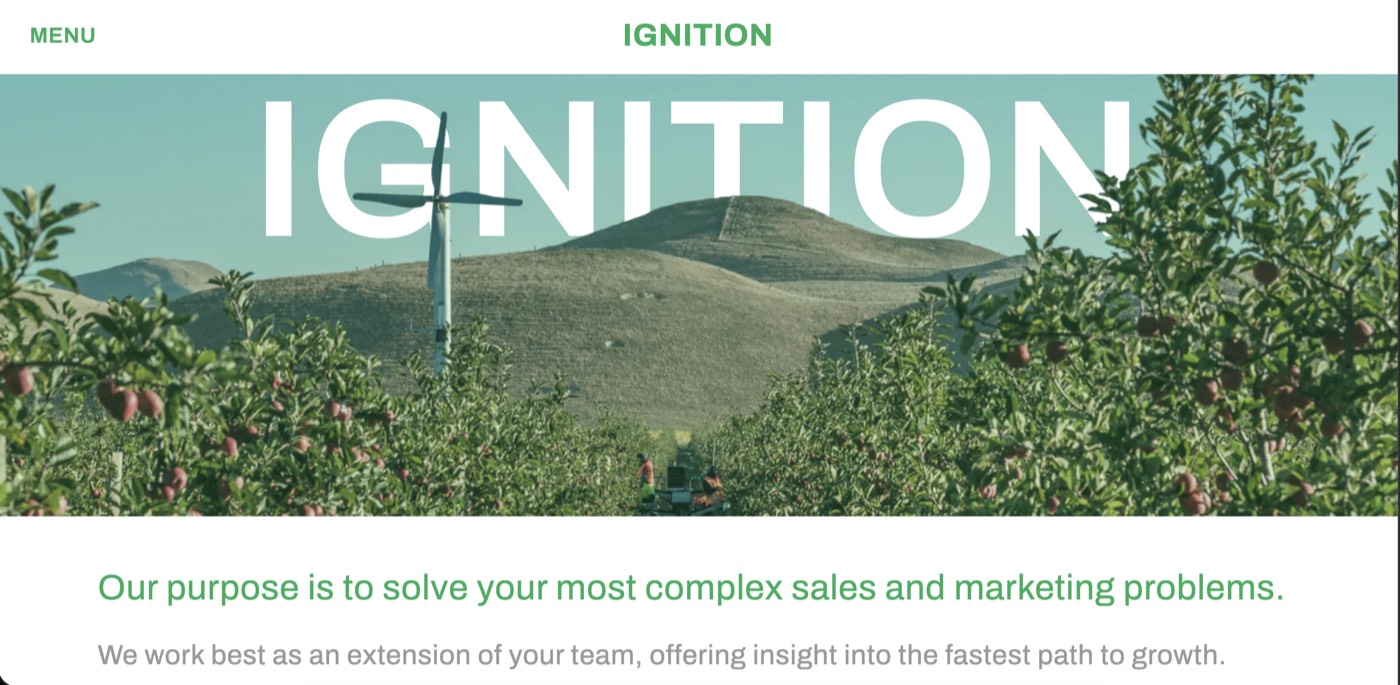 Ignition Consulting website